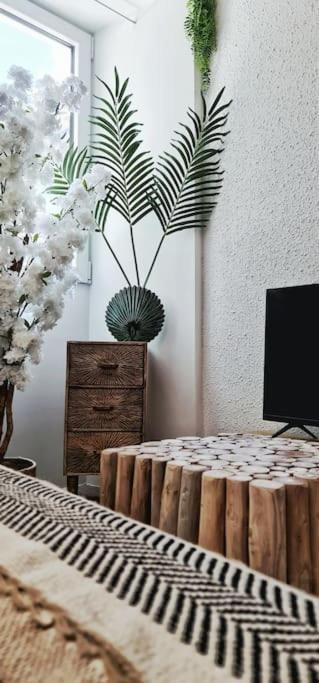דירות קרקסון #New#Terrasse Sud Ouest#Pied De La Cite #1 מראה חיצוני תמונה