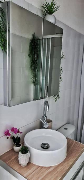 דירות קרקסון #New#Terrasse Sud Ouest#Pied De La Cite #1 מראה חיצוני תמונה