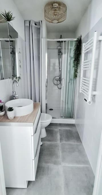 דירות קרקסון #New#Terrasse Sud Ouest#Pied De La Cite #1 מראה חיצוני תמונה